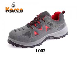 L003