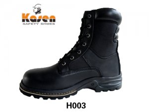 H003