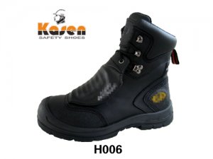 H006