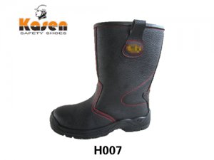 H007
