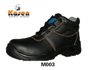 M003