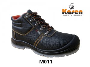 M011