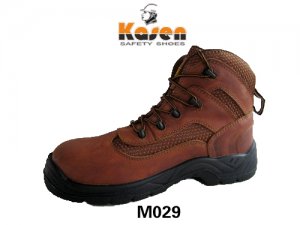 M029
